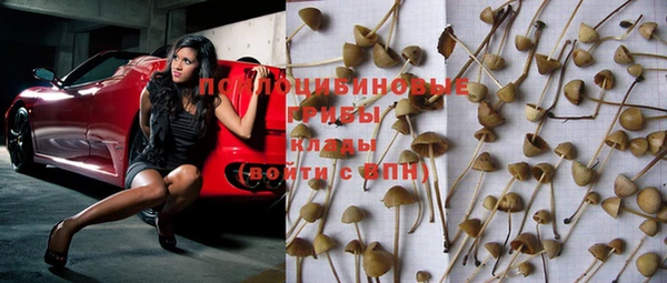 МДПВ Богданович