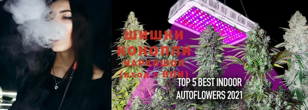 mix Богородицк