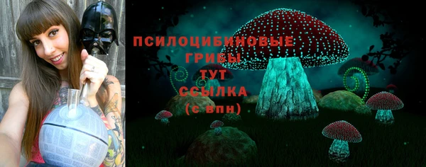 МДПВ Богданович