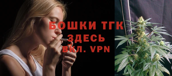 mix Богородицк